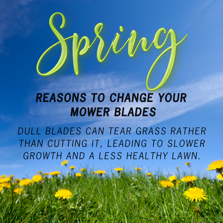 35 Reasons to Change Your Mower Blades This Spring