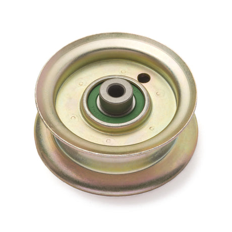 TERRE flat idler pulley, SKU 31305098, front view