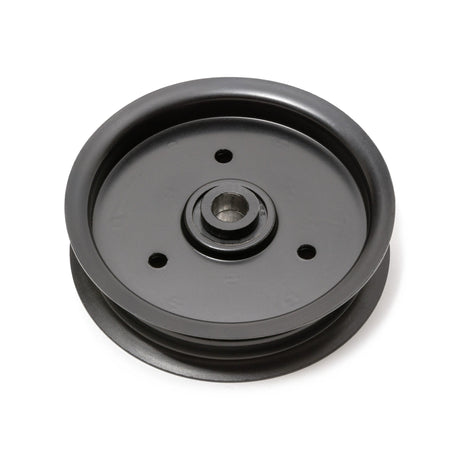 TERRE flat idler pulley, SKU 31500106F, rear view